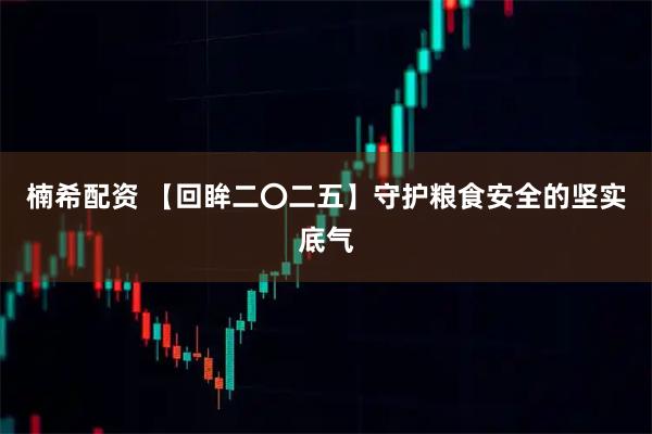 楠希配资 【回眸二〇二五】守护粮食安全的坚实底气